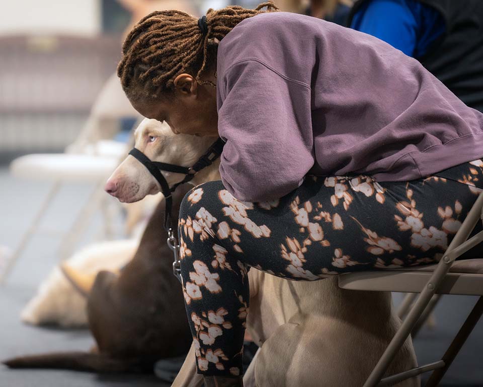 Veteran hugging their service dog