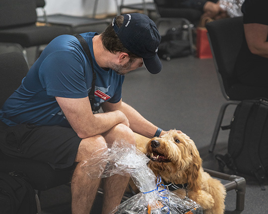 Veteran and Golden Doodle - Service Dog Team