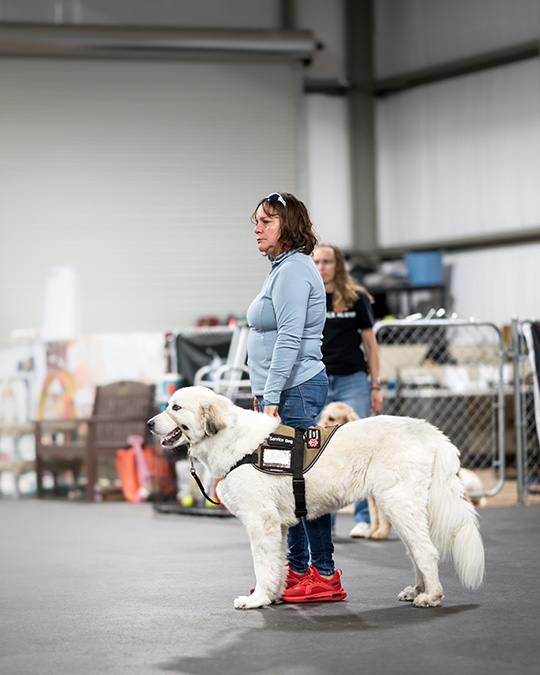 Veteran and Great Pyranese Service Dog Team 