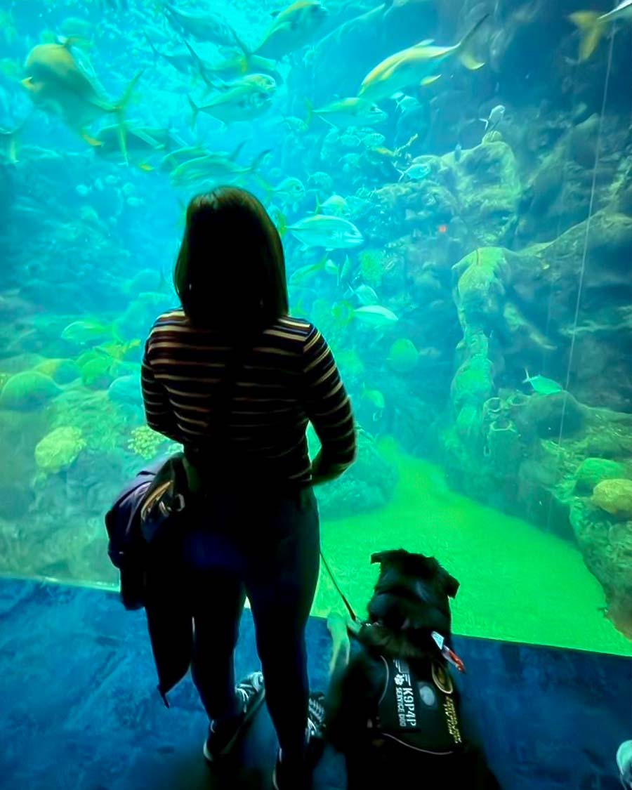 At the aquarium - Holly and Benji