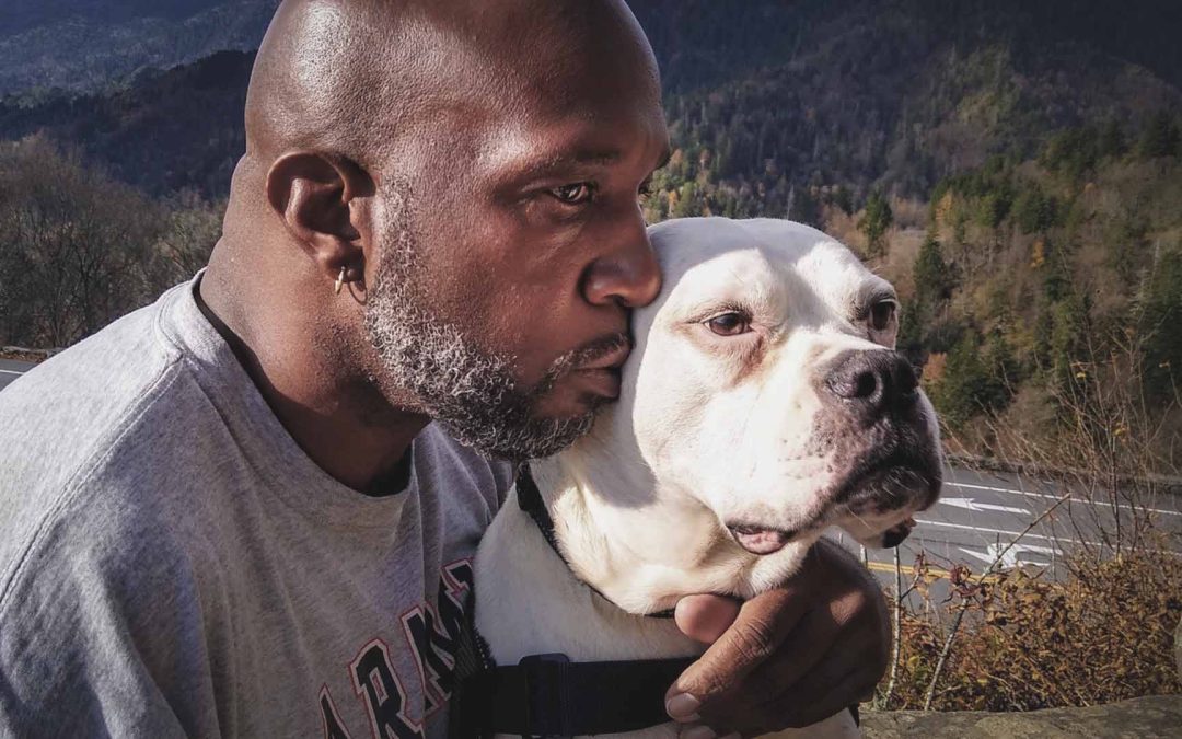 How K9 Partners for Patriots Helped Dez Find Hope Again