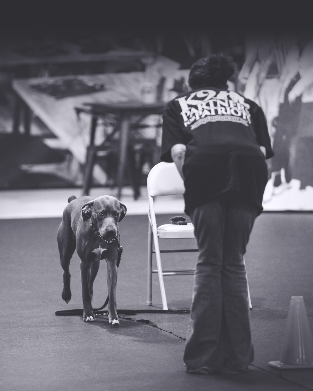 Service Dog Training