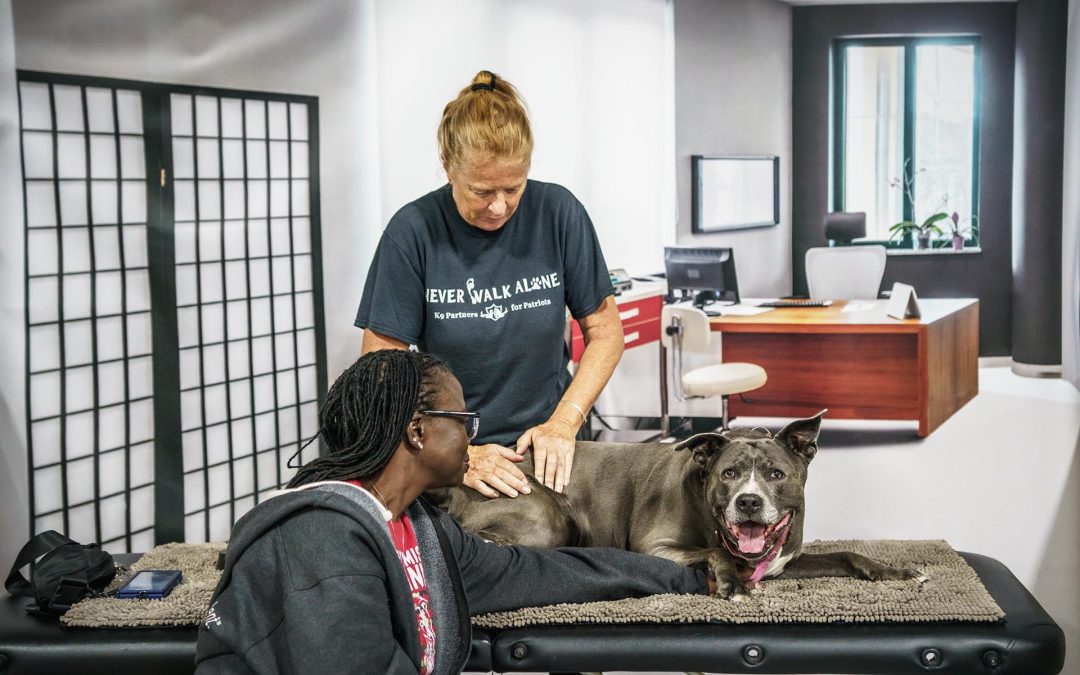 Healing Hands: A Conversation on K9 Massage Therapy with Vreli Middleton