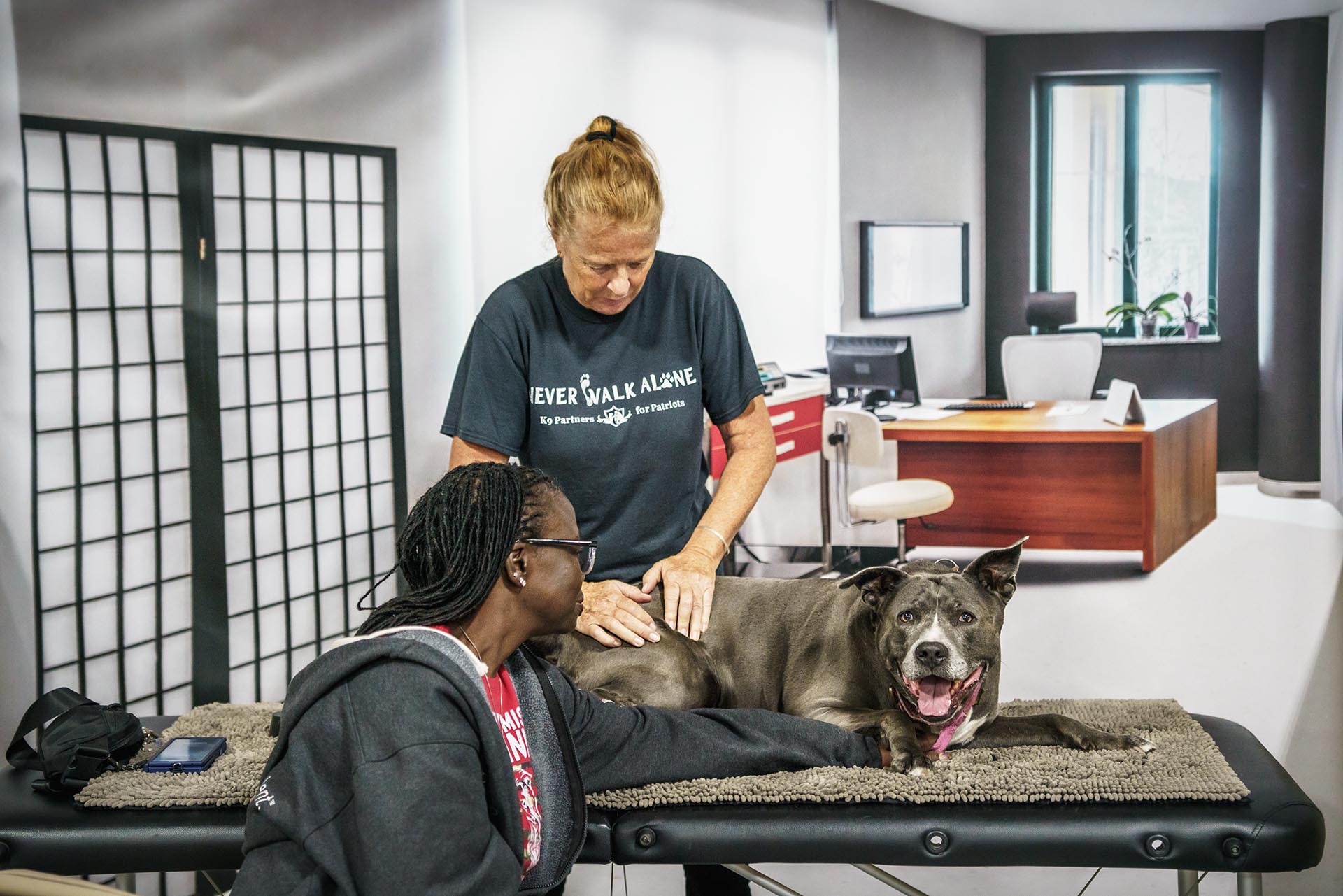K9 Massage Therapy - Vreli Middleton