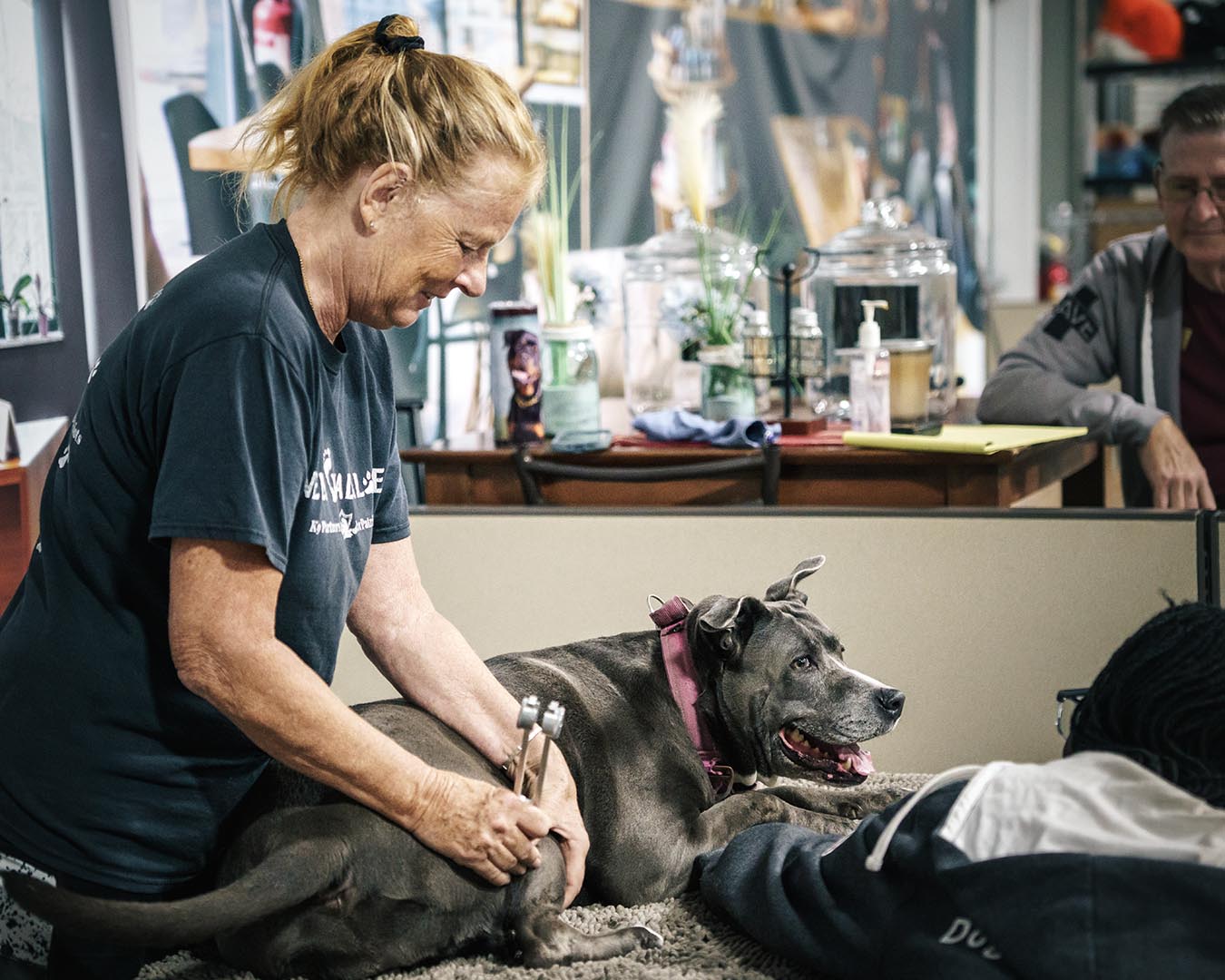 K9 massage tuning fork works really well with soft tissue.