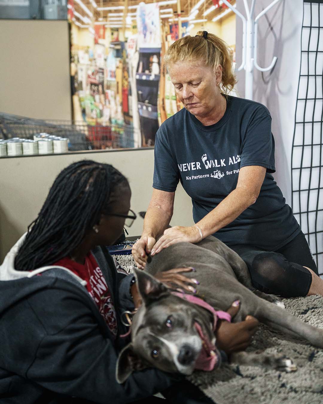 Blue-nose pitbull - K9 Massage Therapy